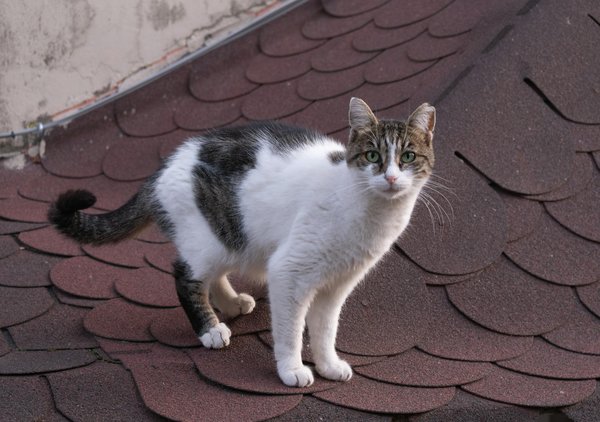 How Can You Increase Comfort in Your UK Home?